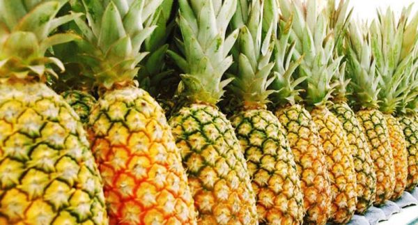 Buy Pineapple Online